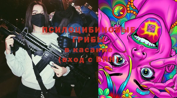 дмт Абинск