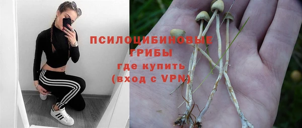 дмт Алексеевка