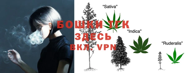 гидра Абдулино