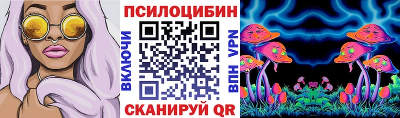 как найти наркотики  Почеп  Галлюциногенные грибы ЛСД 